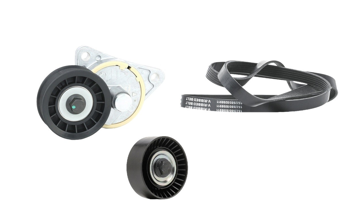 RIDEX 542R0834: Jogo de correias trapezoidais estriadas