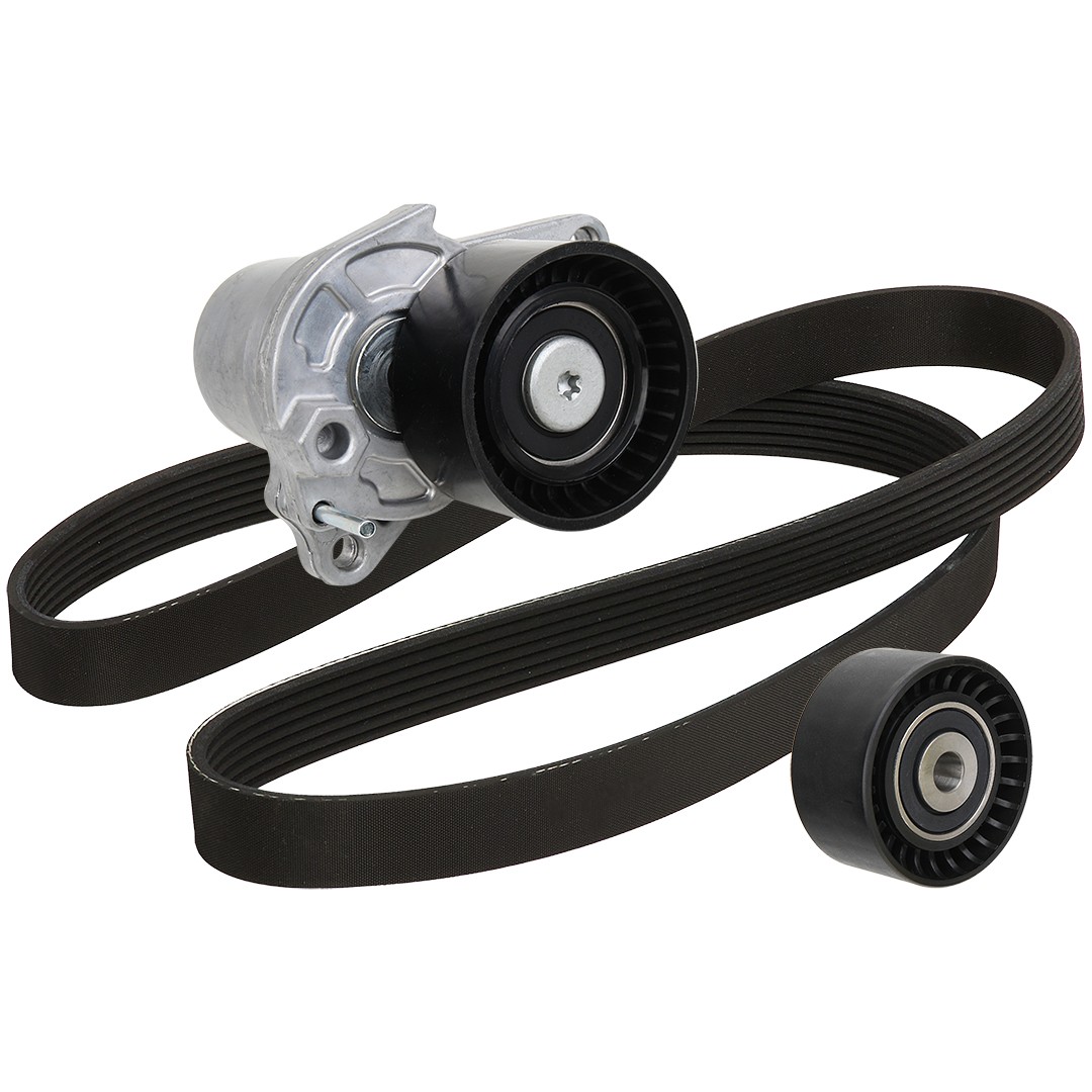 RIDEX 542R0847: Jogo de correias trapezoidais estriadas