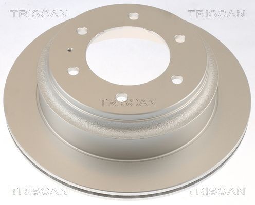 TRISCAN 8120 10181C: Bromsskiva Ø: 313mm, ventilerad, Ø: 313mm, belagd