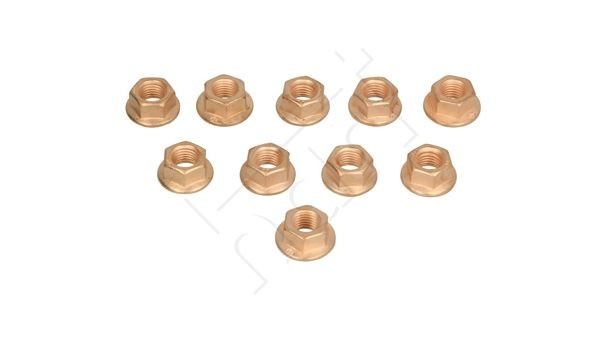 HART 051 394: Veržlė, išmetimo kolektorius