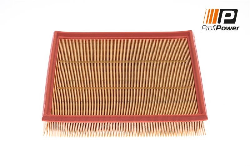 ProfiPower 2F0046: Filtro aria