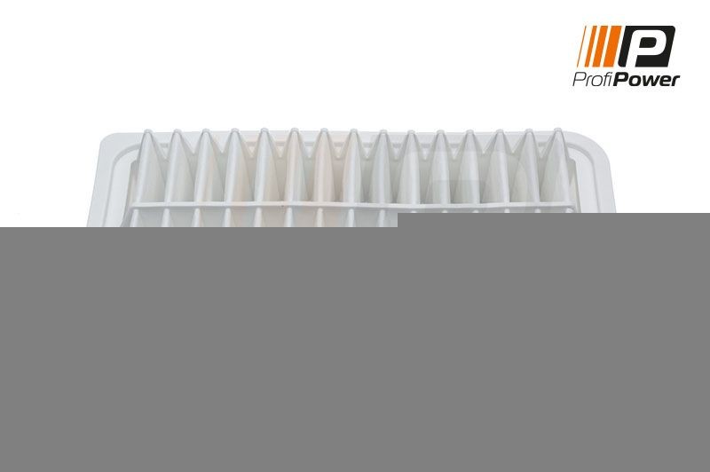 ProfiPower 2F0050: Luchtfilter