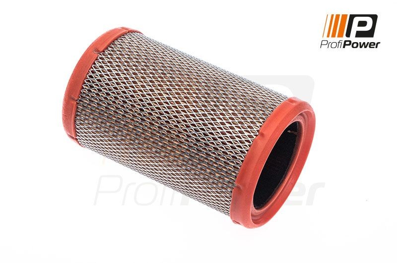ProfiPower 2F0133: Filtro aria