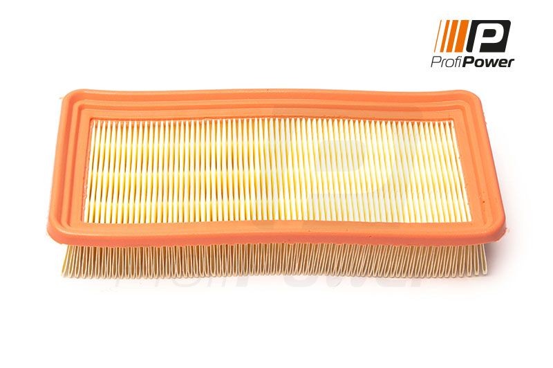 ProfiPower 2F0173: Filtro aria
