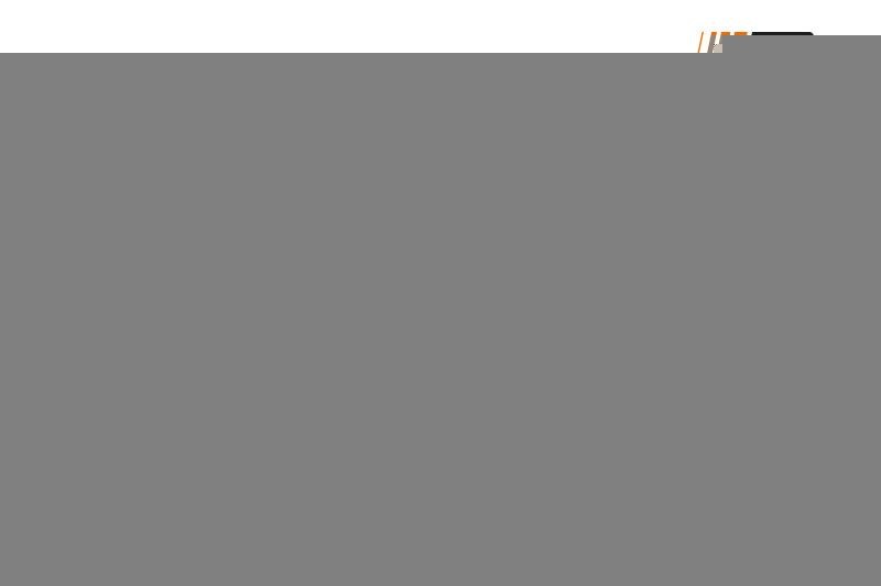 ProfiPower 4F0003C: Interieurfilter Carbon filter