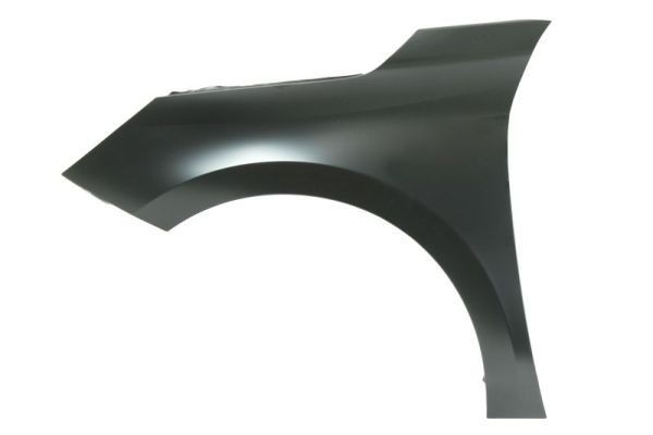 BLIC 6504-04-5028311Q: Parafango anteriore Sx