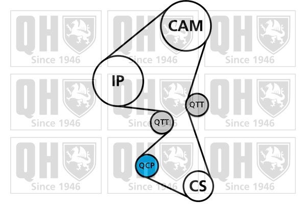 QUINTON HAZELL QBK937: Jogo de correias dentadas sem bomba de água