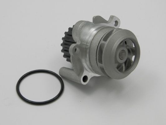 MTR 12119994: Pompa acqua N° denti: 19, con anello tenuta