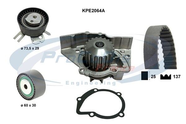 PROCODIS FRANCE KPE2064A: Bomba de agua + kit de correa de distribución Núm. dientes: 137, con juntas