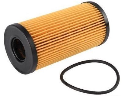 NPS N131N34: Oliefilter