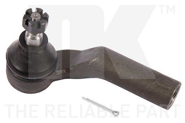 NK 5033239: Raidetangon pää