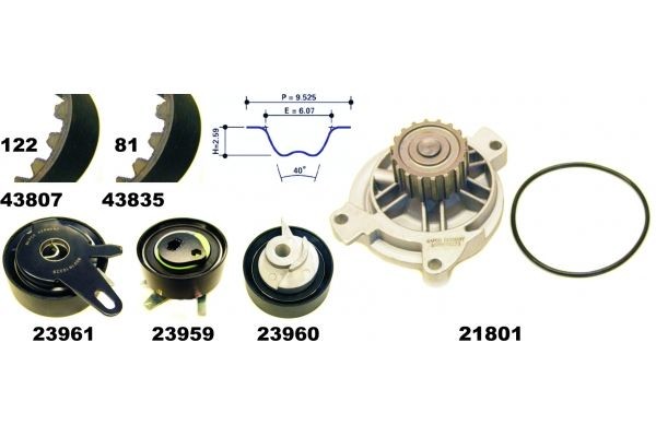 MAPCO 41819: Bomba de agua + kit de correa de distribución