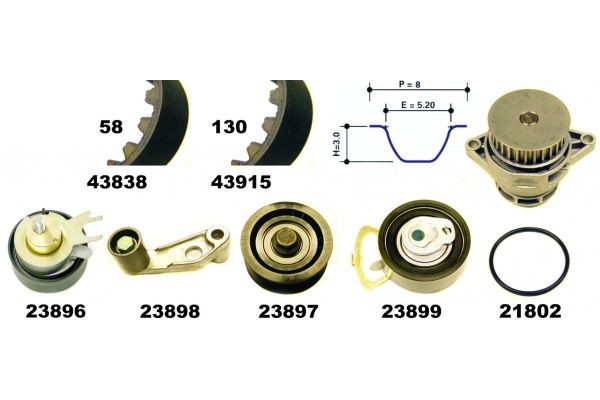 MAPCO 41838/2: Distributieriem set + waterpomp