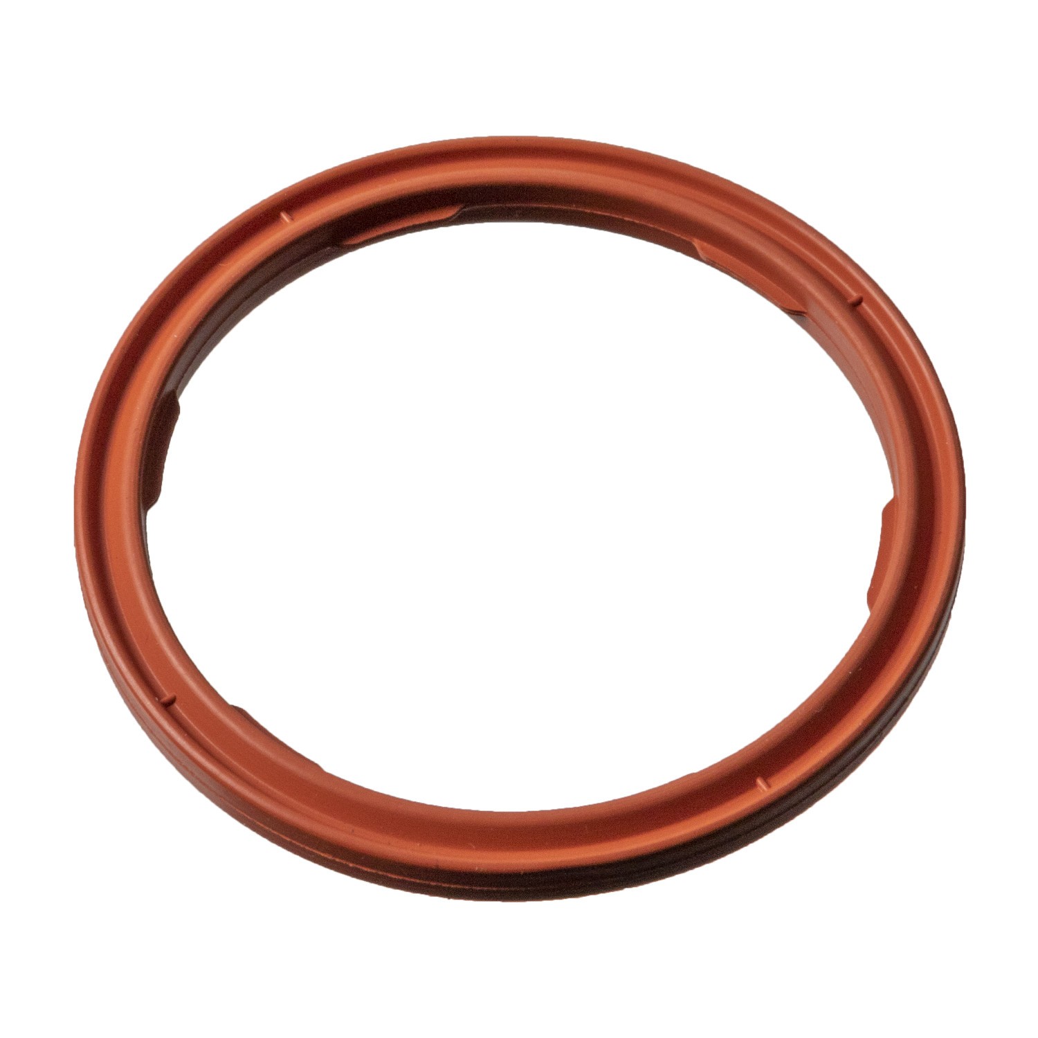 FEBI BILSTEIN 183988: Blīvgredzens, Motoreļļas līmeņa devējs