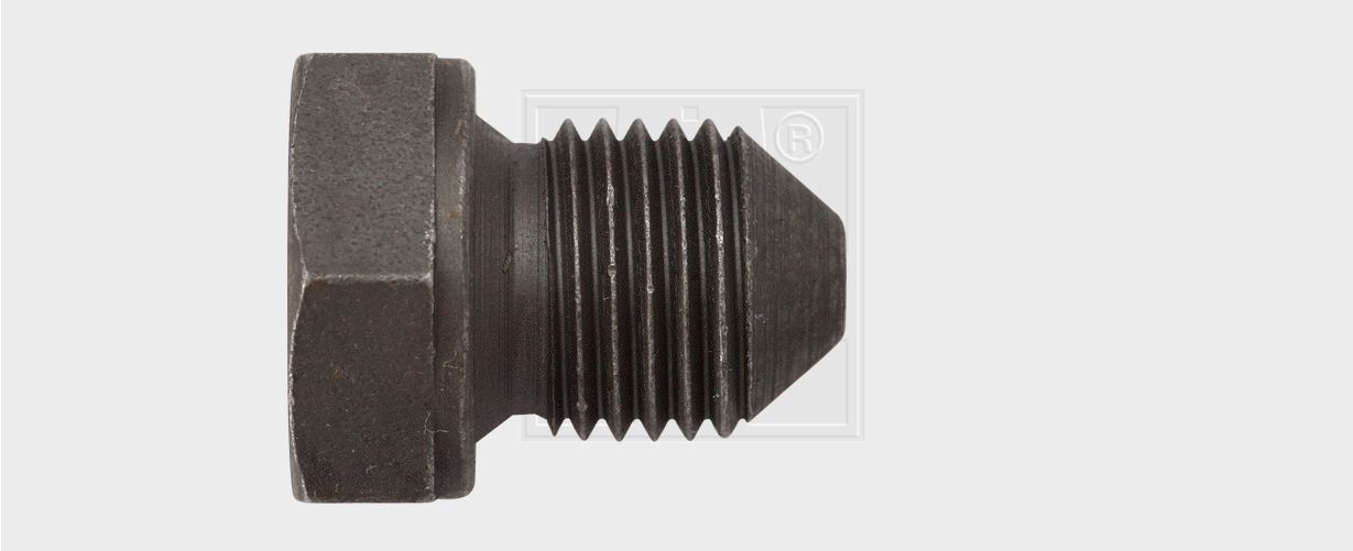 SWGAutomotive 24000100316: Болтова пробка, маслен картер M14