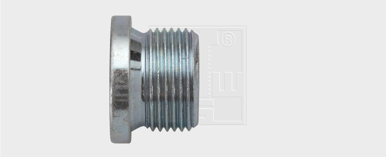 SWGAutomotive 24300100316: Afsluitschroef, oliepan M22