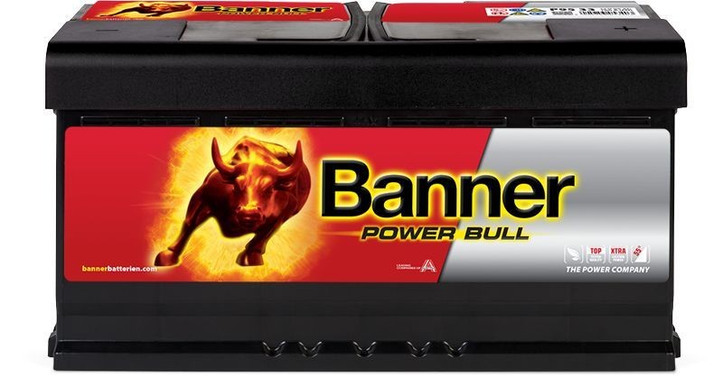 BANNER 013595330101: Batterie Power Bull