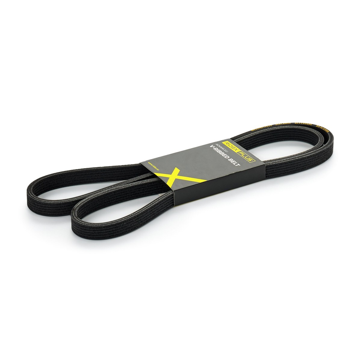 RIDEX PLUS 305P0222P: Multiriem 1825mm, Ribbenaantal: 6