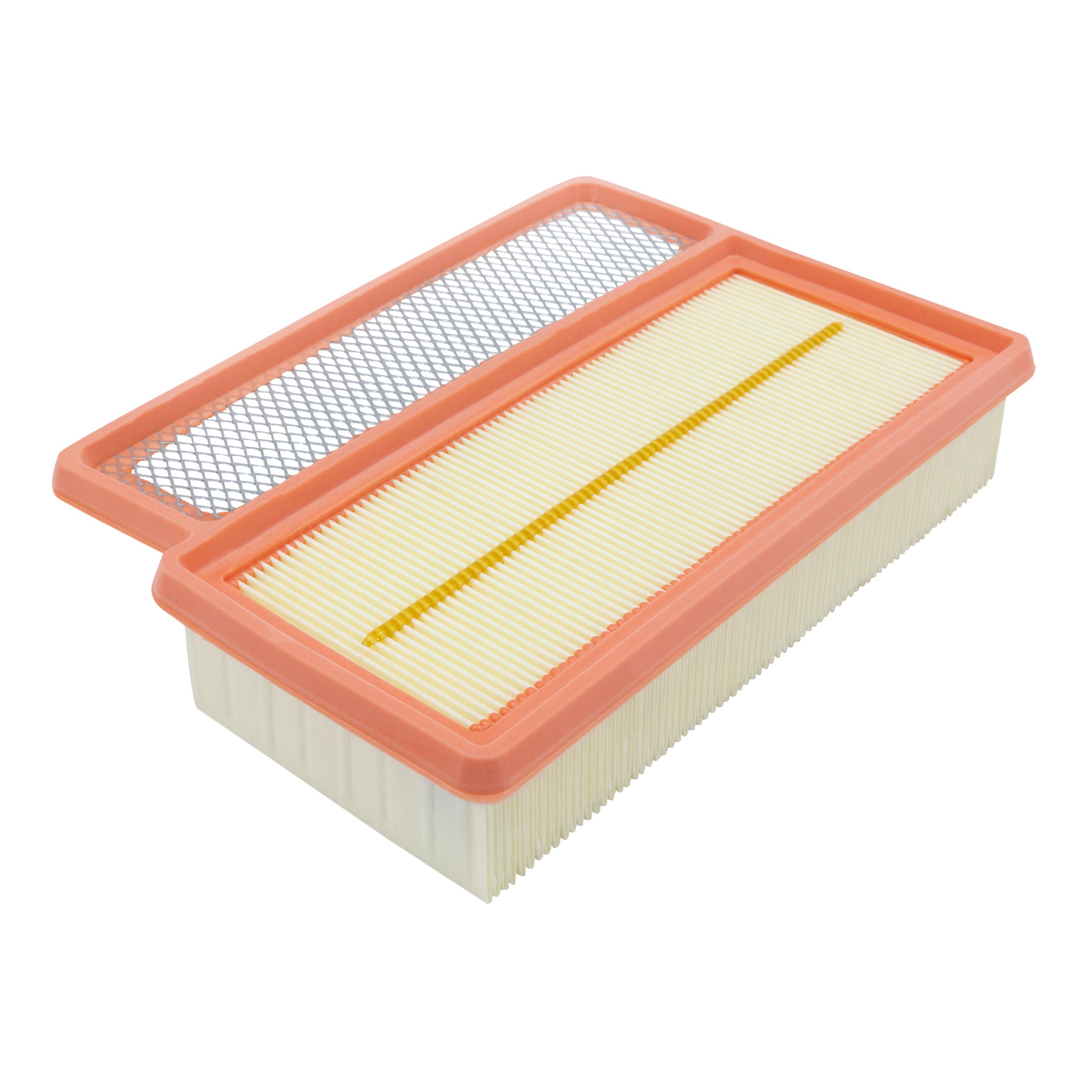 FILTRON AP 098/5: Filtro aria