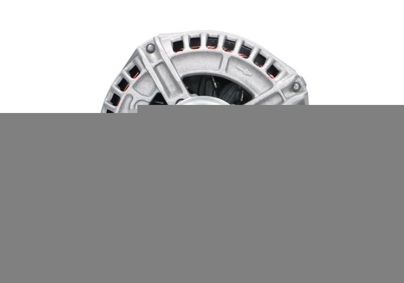 BV PSH 305.525.120.340: Alternador 120A