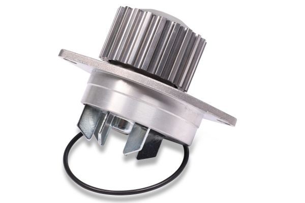 HEPU P812: Pompa acqua N° denti: 20, con guarnizione