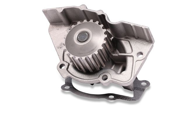 GK 986871: Bomba de agua Núm. dientes: 20, con junta