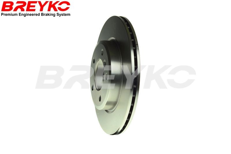 DAVID VASCO T4055: Disco de freno BREYKO Eje delantero, Ø: 300mm, ventilado, Ø: 300mm