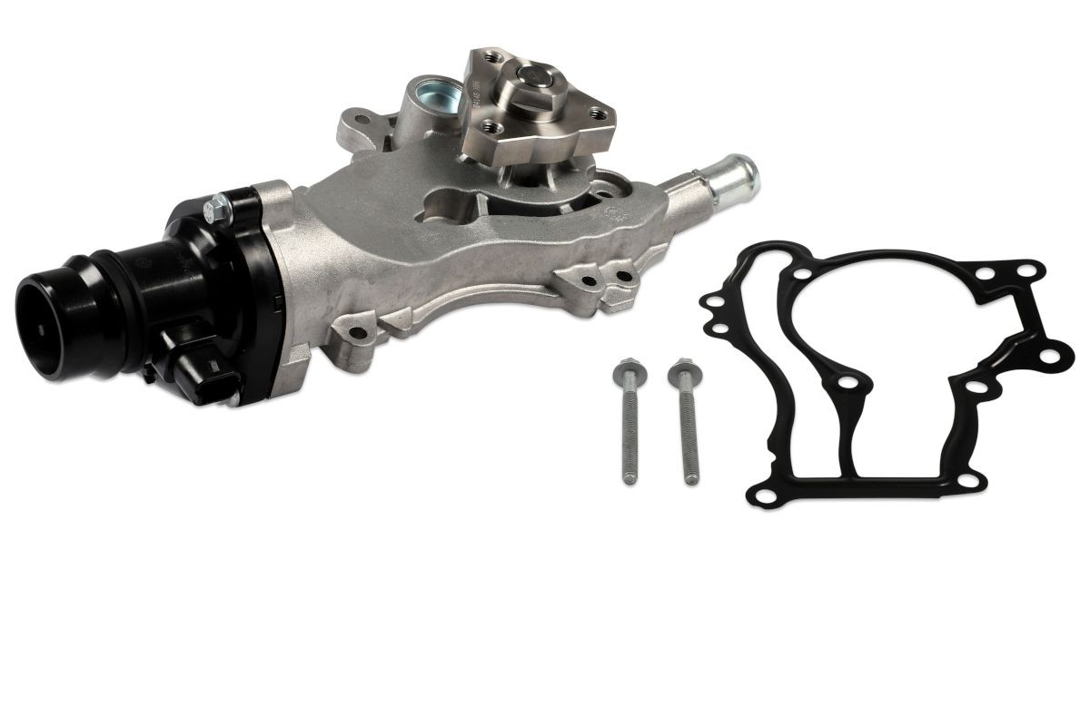 HEPU P379-TH2: Waterpomp Met pakkingen, Met pijpsteunen, Met thermostaat, Thermostaat in waterpomp