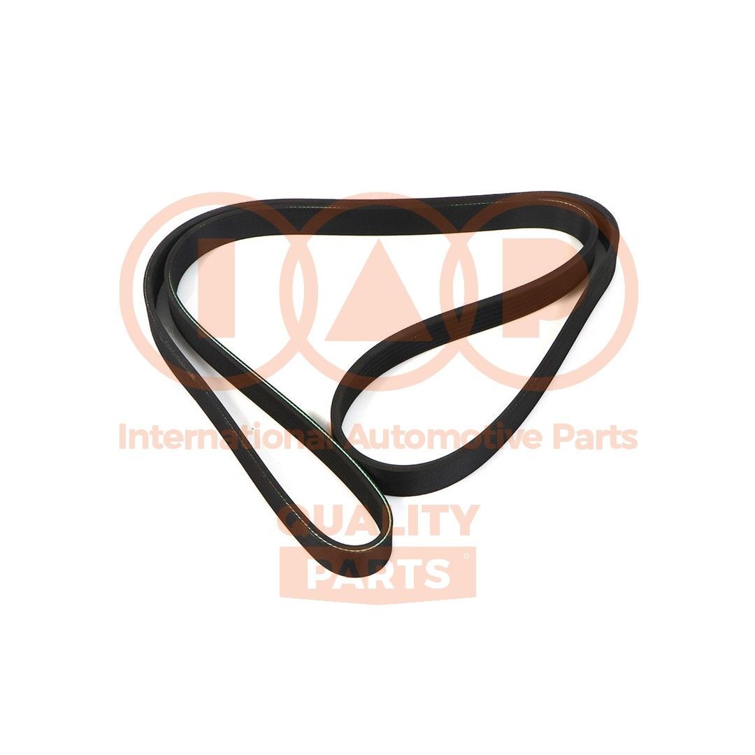 IAP QUALITY PARTS 140-17091: Correia trapezoidal estriada 1538mm, Número de nervuras: 6