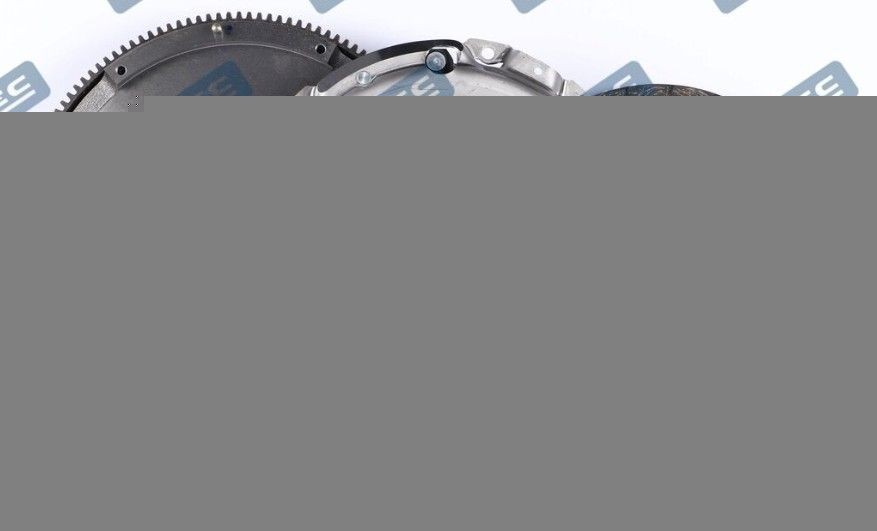 RYMEC DF3050: Sidurikomplekt koos survelaagriga, siduri surveplaadiga, sünteetilise määrdega, koos sidurikettaga, koos kruvikomplektiga