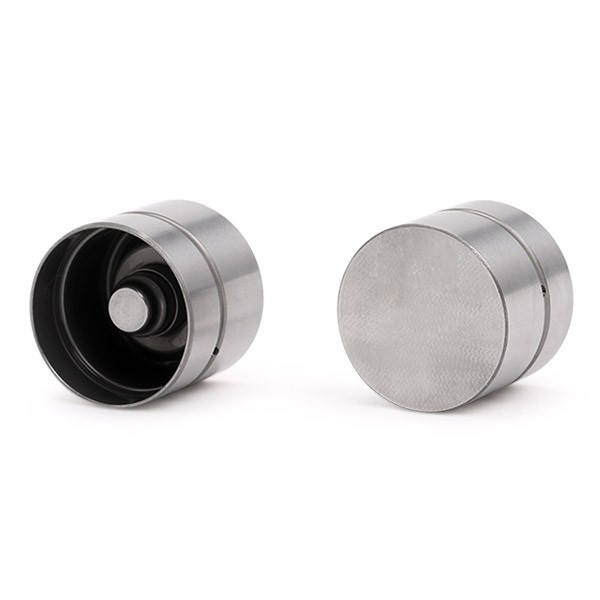 INA 420 0118 10: Hydrostößel