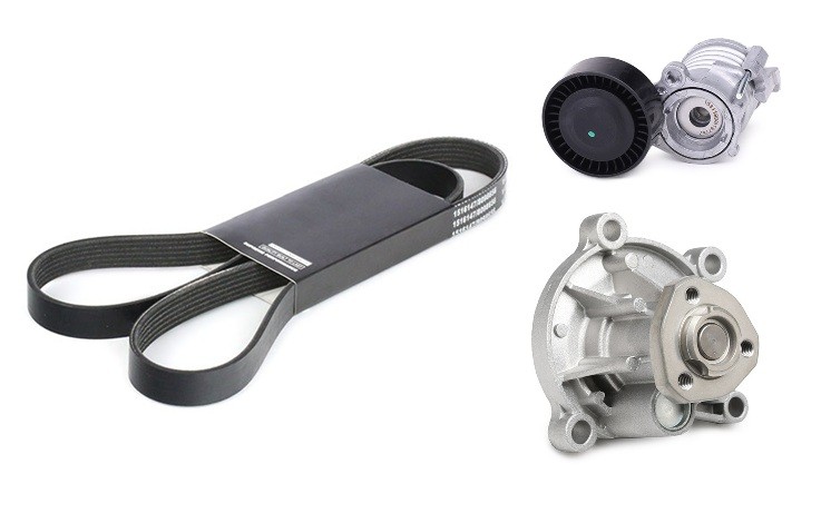 RIDEX 4172P0131: Bomba de água + kit da correia de distribuição