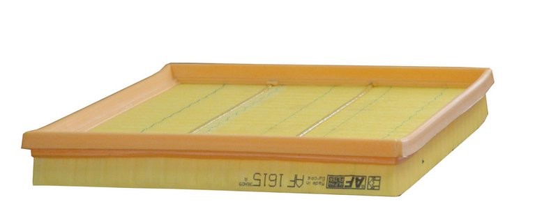 ALPHA FILTER AF1615: Filtro aria