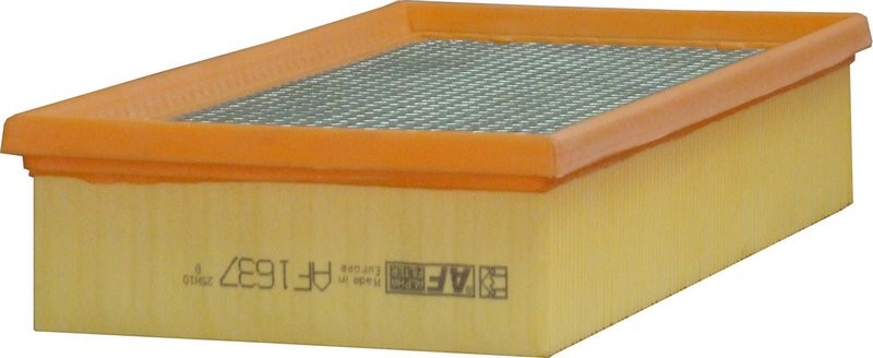 ALPHA FILTER AF1637: Luchtfilter