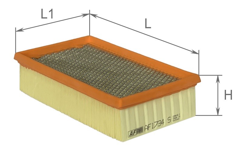 ALPHA FILTER AF1734S: Filtro aria