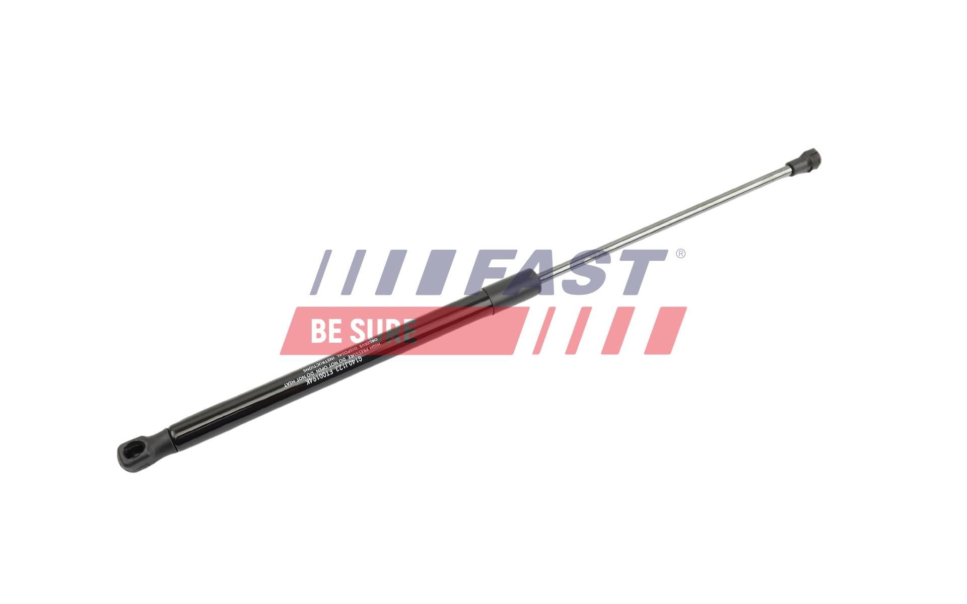 FAST FT00194 Heckklappendämpfer 500mm