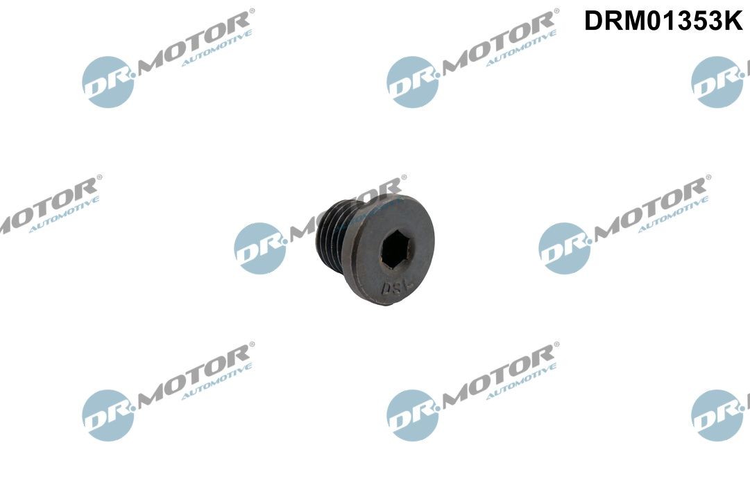 DR.MOTOR AUTOMOTIVE DRM01353K: Bouchon de vidange M14x1,5x12, avec bague d'étanchéité