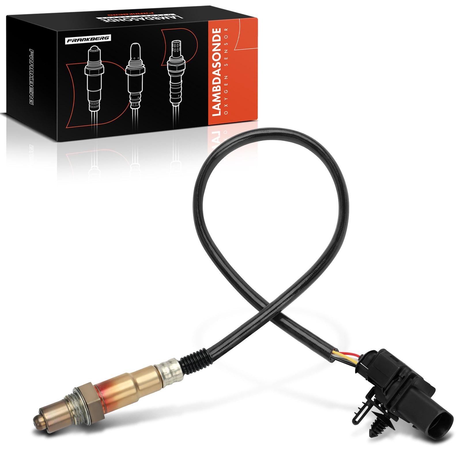 Frankberg 5481FB0049567: Lambda andur