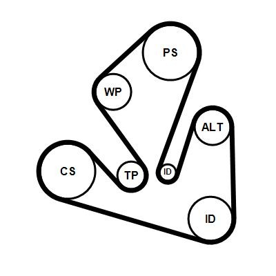CONTITECH 7PK1666K1: Jogo de correias trapezoidais estriadas
