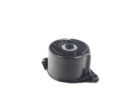 BMW 11287786880: Tensor de correia, correia trapezoidal estriada