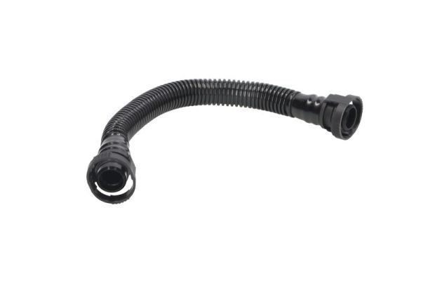 JC PREMIUM B40507PR: Interieurfilter Papier, Carbon filter