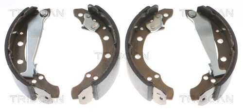 TRISCAN 8100 29345: Bremsebakkesæt