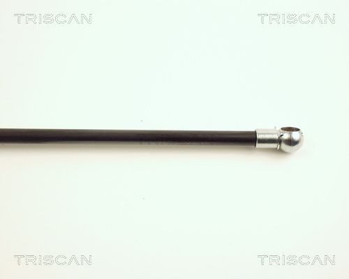 TRISCAN 8110 14018: Bremseklodser