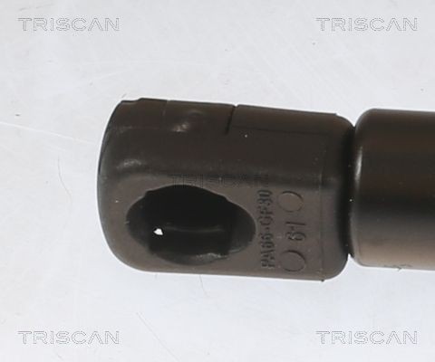 TRISCAN 8120 10218: Спирачен барабан 203,2mm