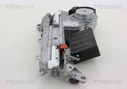 TRISCAN 8120 11113: Bremžu diski Ø: 258mm, pilnīgi, Ø: 258mm