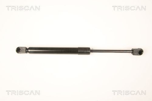 TRISCAN 8120 13169: Bremžu diski Ø: 256mm, ventilējams, Ø: 256mm