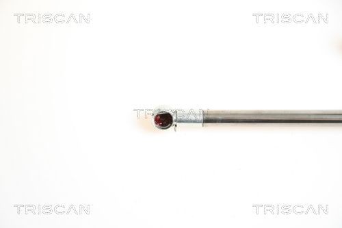 TRISCAN 8120 17123: Jarrulevy Ø: 262mm, täysi, Ø: 262mm