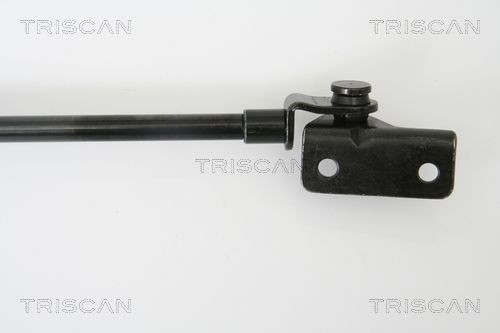 TRISCAN 8120 17128: Bremseskive Ø: 344mm, ventileret, Ø: 344mm