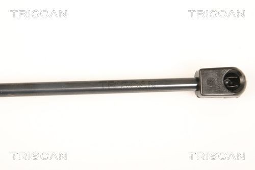 TRISCAN 8120 24109: Bremsscheibe Ø: 246mm, innenbelüftet, Ø: 246mm