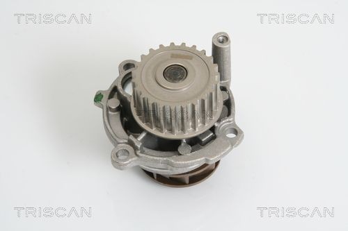 TRISCAN 8600 29043: Pompe à eau